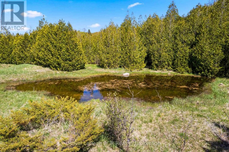 N/A SUTTER ROAD ROAD W, Northern Bruce Peninsula, Ontario, N0H1W0