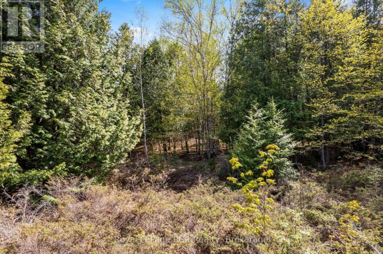 N/A SUTTER ROAD ROAD W, Northern Bruce Peninsula, Ontario, N0H1W0
