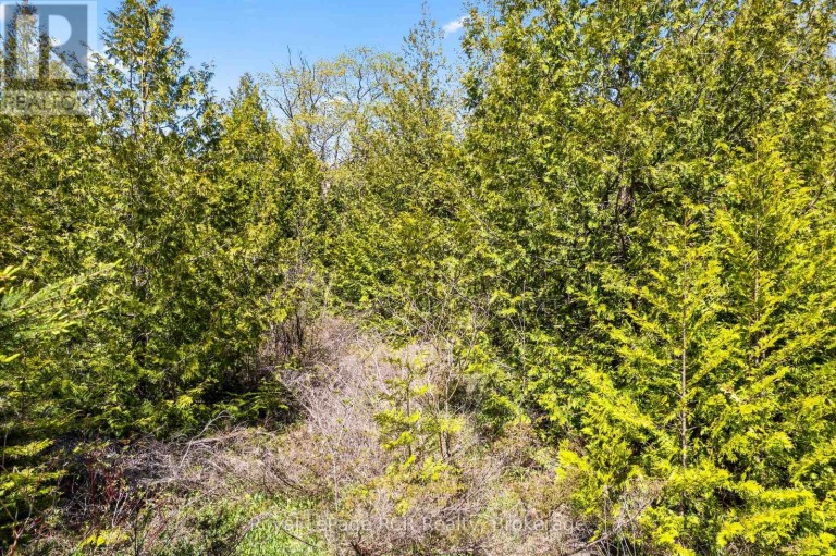 N/A SUTTER ROAD ROAD W, Northern Bruce Peninsula, Ontario, N0H1W0