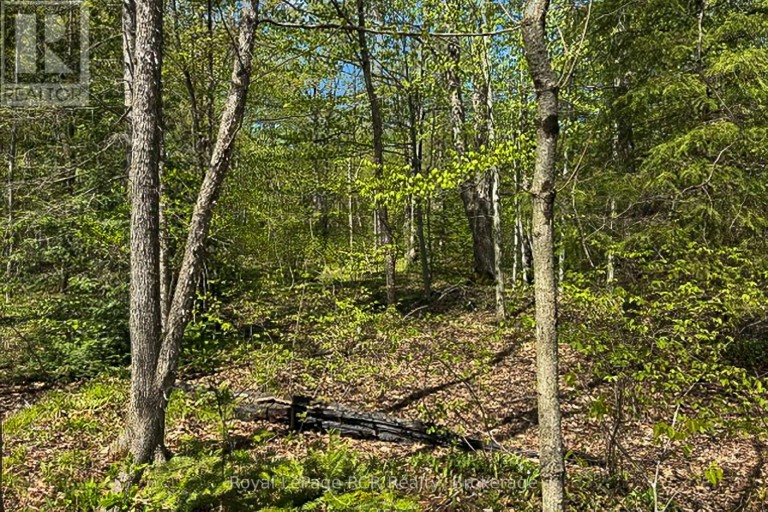N/A SUTTER ROAD ROAD W, Northern Bruce Peninsula, Ontario, N0H1W0