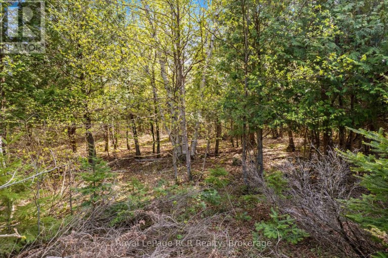 N/A SUTTER ROAD ROAD W, Northern Bruce Peninsula, Ontario, N0H1W0