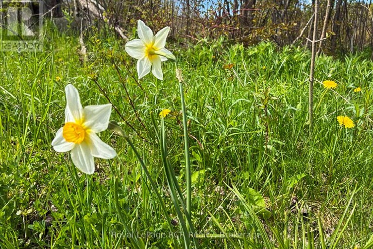 N/A SUTTER ROAD ROAD W, Northern Bruce Peninsula, Ontario, N0H1W0