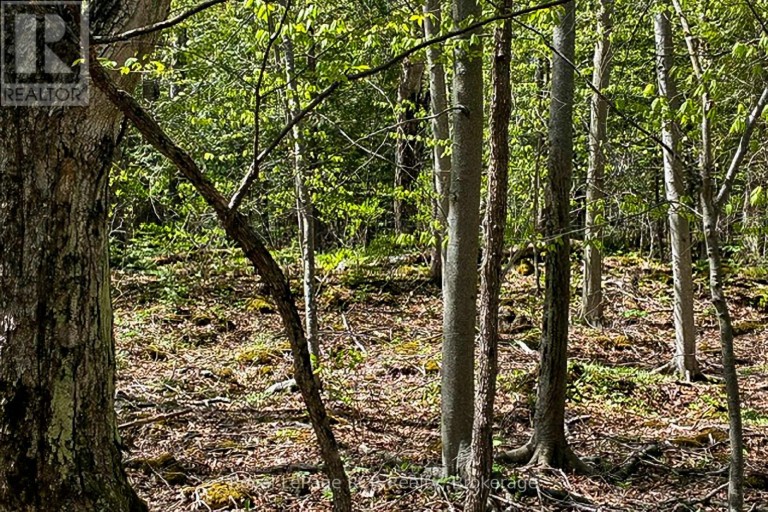 N/A SUTTER ROAD ROAD W, Northern Bruce Peninsula, Ontario, N0H1W0