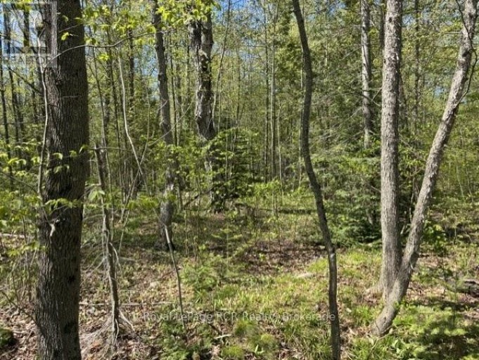 N/A SUTTER ROAD ROAD W, Northern Bruce Peninsula, Ontario, N0H1W0