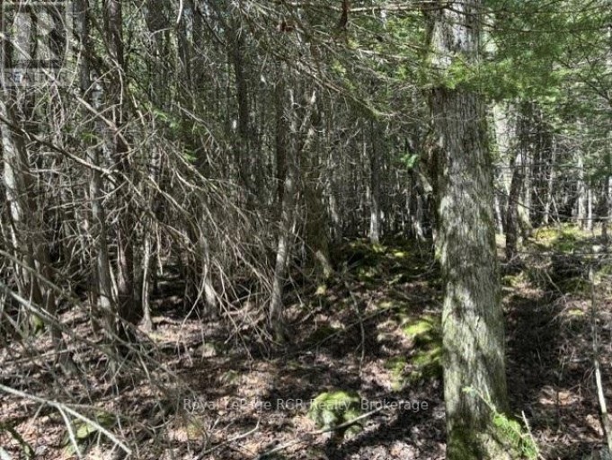 N/A SUTTER ROAD ROAD W, Northern Bruce Peninsula, Ontario, N0H1W0