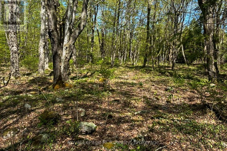 N/A SUTTER ROAD ROAD W, Northern Bruce Peninsula, Ontario, N0H1W0