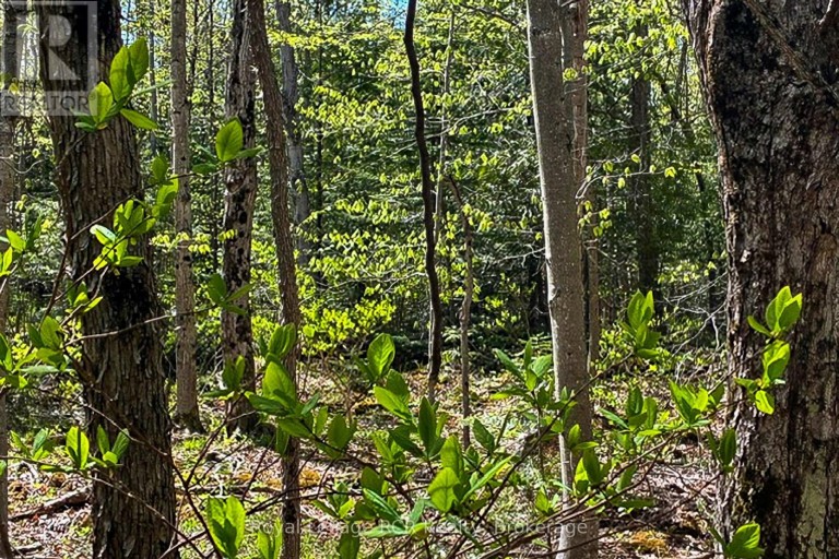 N/A SUTTER ROAD ROAD W, Northern Bruce Peninsula, Ontario, N0H1W0