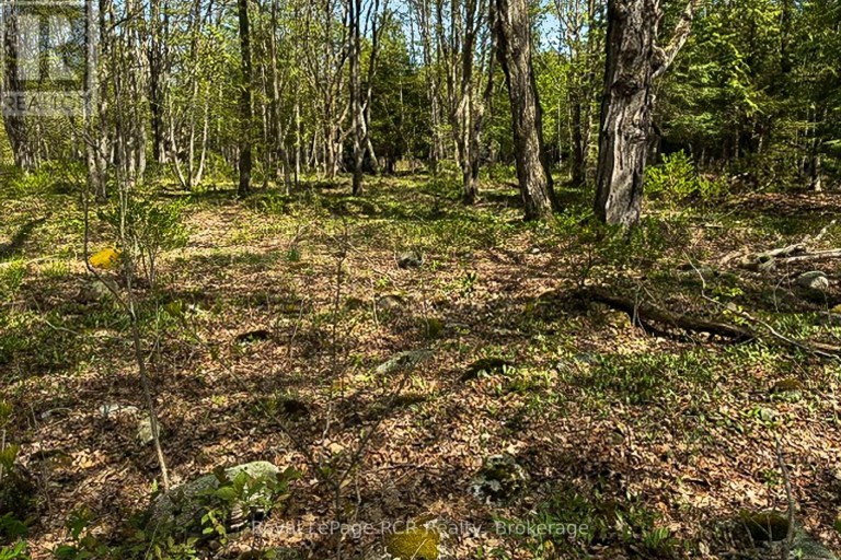 N/A SUTTER ROAD ROAD W, Northern Bruce Peninsula, Ontario, N0H1W0