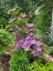28 PINE RIDGE ROAD, Kawartha Lakes (norland), Ontario, K0M2L0 (ID X13212600)