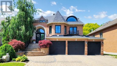 BASMENT - 207 SHAFTSBURY AVENUE Richmond Hill (Westbrook) Ontario photo 1
