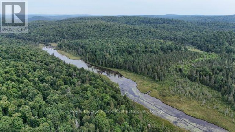 905 & 841 NORTH MCKENZIE LAKE ROAD, South Algonquin, Ontario, K0J2M0