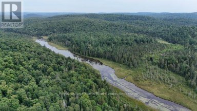 905 & 841 NORTH MCKENZIE LAKE ROAD South Algonquin Ontario photo 10