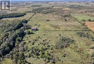 1049 SANDRINGHAM ROAD Kawartha Lakes (Eldon) Ontario photo 2