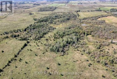 1049 SANDRINGHAM ROAD Kawartha Lakes (Eldon) Ontario photo 5