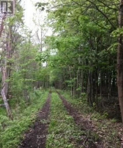 1049 SANDRINGHAM ROAD, Kawartha Lakes (Eldon), Ontario, K0M2T0