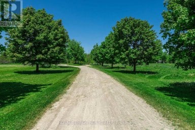 LOWER - 428 MAIN STREET W Shelburne Ontario photo 1