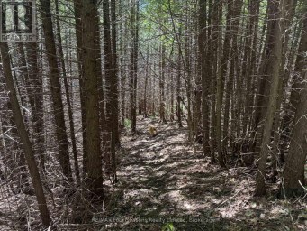 PT LT 12 PART 1 18 GREY ROAD Meaford Ontario photo 10