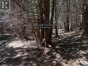 PT LT 12 PART 1 18 GREY ROAD Meaford Ontario photo 11