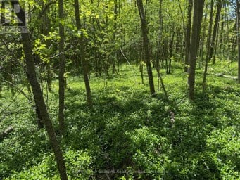 PT LT 12 PART 1 18 GREY ROAD Meaford Ontario photo 5