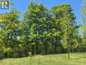 PT LT 12 PART 1 18 GREY ROAD Meaford Ontario photo 8
