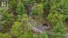 303 NINE MILE LAKE, Muskoka Lakes (wood (muskoka Lakes)), Ontario, P1L1W8 (ID X13217814)