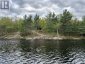 303 NINE MILE LAKE, Muskoka Lakes (wood (muskoka Lakes)), Ontario, P1L1W8 (ID X13217814)