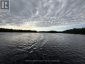 303 NINE MILE LAKE, Muskoka Lakes (wood (muskoka Lakes)), Ontario, P1L1W8 (ID X13217814)