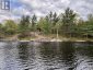 303 NINE MILE LAKE, Muskoka Lakes (wood (muskoka Lakes)), Ontario, P1L1W8 (ID X13217814)