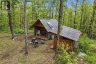 1937 MUMFORD ROAD, Highlands East (cardiff Ward), Ontario, K0L1X0 (ID X13217990)