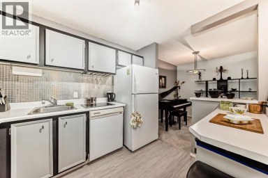 51 Cedar Springs Gardens SW Calgary Alberta photo 17