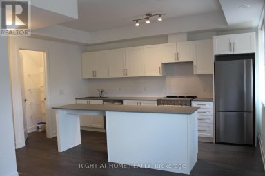 249 - 1075 DOUGLAS MCCURDY COMMON Mississauga (Lakeview) Ontario photo 3