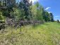 2527 MATAWATCHAN ROAD, Greater Madawaska, Ontario, K0J2R0 (ID X13219852)