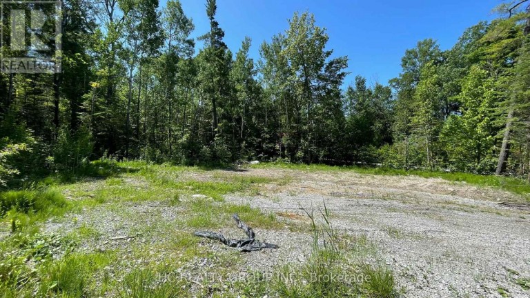 LT101 SILVER BIRCH DRIVE, Tiny, Ontario, L9M0M5
