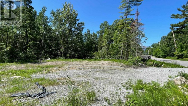 LT101 SILVER BIRCH DRIVE, Tiny, Ontario, L9M0M5