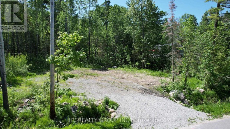 LT101 SILVER BIRCH DRIVE, Tiny, Ontario, L9M0M5