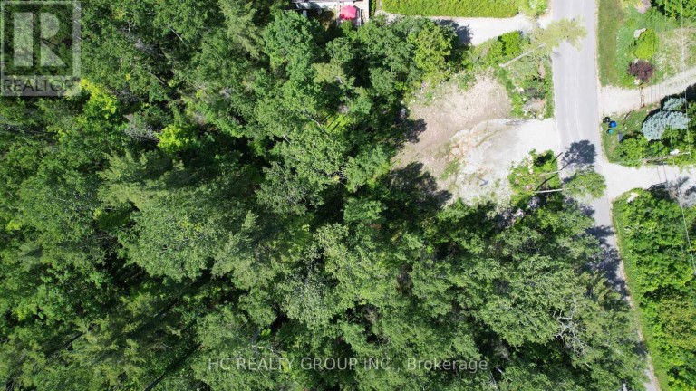 LT101 SILVER BIRCH DRIVE, Tiny, Ontario, L9M0M5