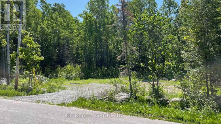 LT101 SILVER BIRCH DRIVE, Tiny, Ontario, L9M0M5