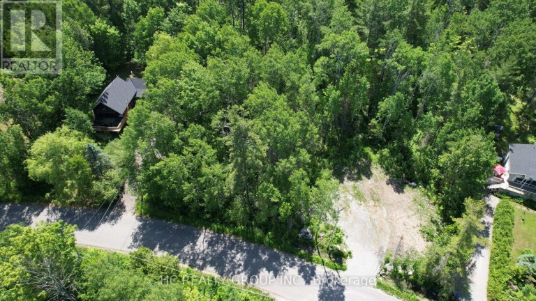LT101 SILVER BIRCH DRIVE, Tiny, Ontario, L9M0M5