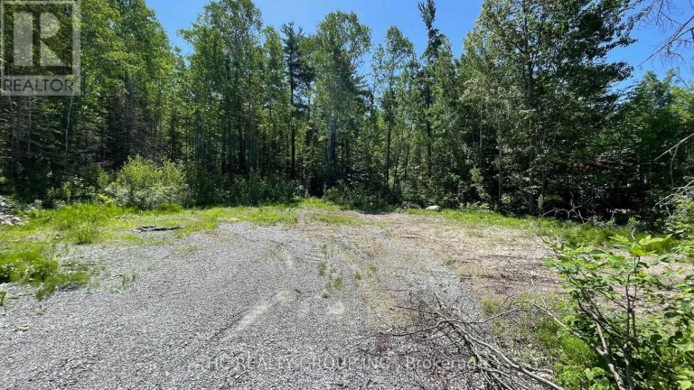 LT101 SILVER BIRCH DRIVE, Tiny, Ontario, L9M0M5