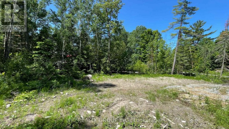 LT101 SILVER BIRCH DRIVE, Tiny, Ontario, L9M0M5