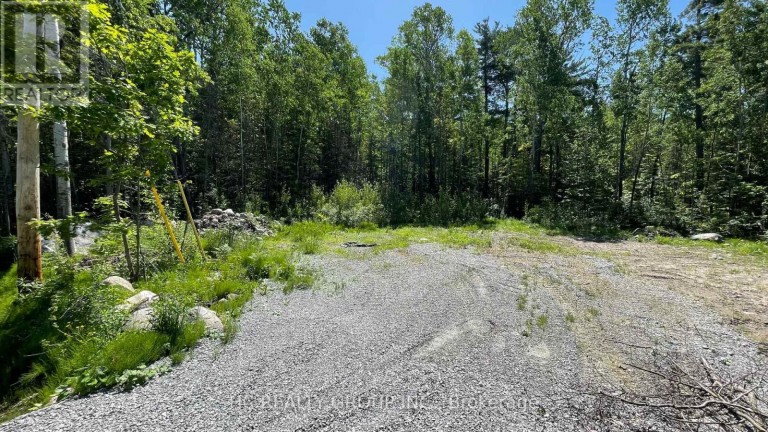 LT101 SILVER BIRCH DRIVE, Tiny, Ontario, L9M0M5