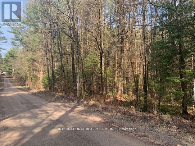 0 THE AVE ROAD N, Kawartha Lakes (Kinmount), Ontario, K0M2A0