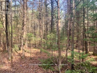 0 THE AVE ROAD N Kawartha Lakes (Kinmount) Ontario photo 2