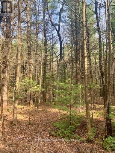 0 THE AVE ROAD N, Kawartha Lakes (Kinmount), Ontario, K0M2A0