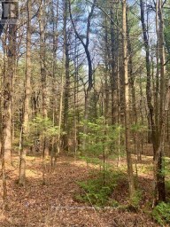 0 THE AVE ROAD N Kawartha Lakes (Kinmount) Ontario photo 3