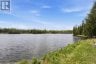 119 GAFFNEY LAKE LANE, Bancroft (dungannon Ward), Ontario, K0L1C0 (ID X13223650)