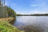 119 GAFFNEY LAKE LANE, Bancroft (dungannon Ward), Ontario, K0L1C0 (ID X13223650)