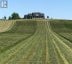 431 MEADOWVIEW ROAD, Kawartha Lakes (emily), Ontario, K0L2W0 (ID X13226522)