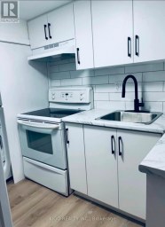 BASEMENT - 393 WEBER STREET E Kitchener Ontario photo 3