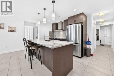 1003, 303 13 Avenue SW Calgary Alberta photo 17